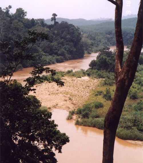 Řeka na okraji Národního parku Taman Negara<br />River and nature of National Park Tamar Negara