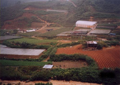 Okolí Cameroon Highlands-Tanah Rata<br />Scene of Cameroon Highlands-Tanah Rata