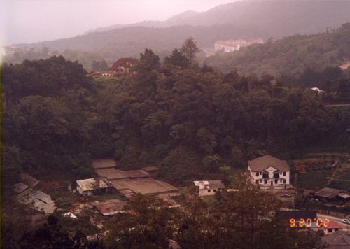 Scene of Cameroon Highlands-Tanah Rata